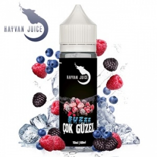 HAYVAN JUICE Cok Güzel Aroma 10ml