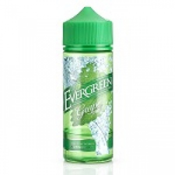 Evergreen - Grape Mint