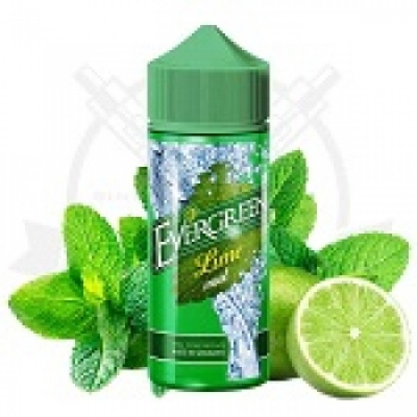 Evergreen - Apple Mint